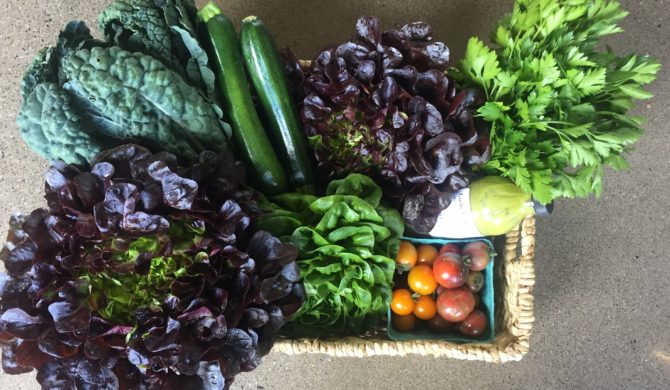 Fresh Local Produce Fresh Local Produce