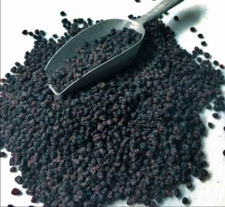 Organic Bulk Dried Elderberries Yelm Food CooperativeYelm Food