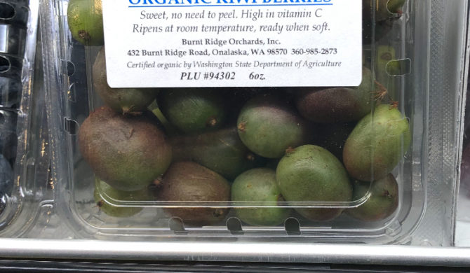 Organic Kiwi Berries Organic Kiwi Berries